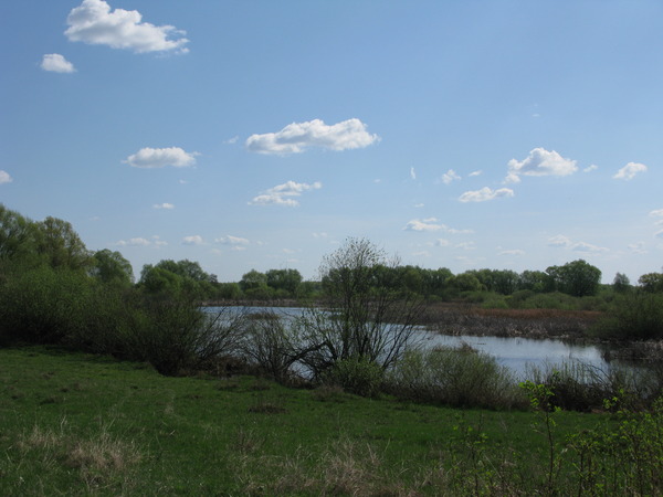 i-207.jpg