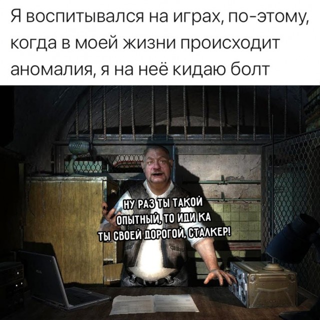 15391174.jpg