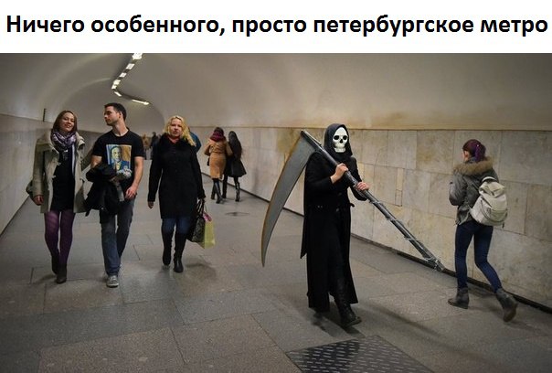 PGwKLhAOVfs.jpg