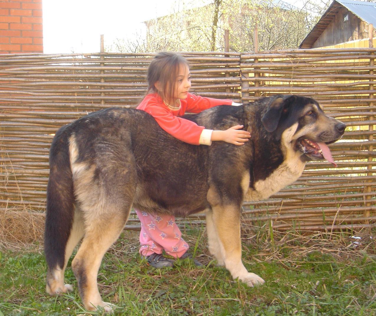 picture02.jpg