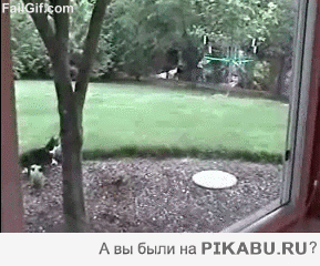 cddde2.gif