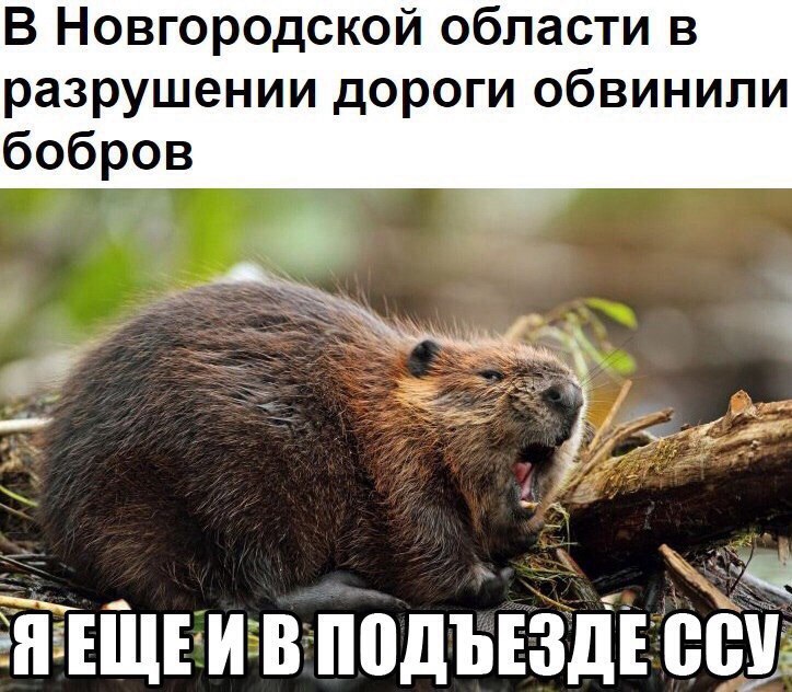 __SqSl4fa0o.jpg