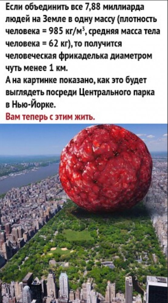 15862048.jpg
