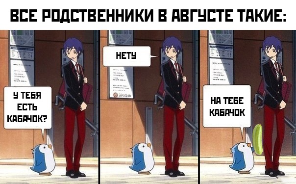 15815947.jpg