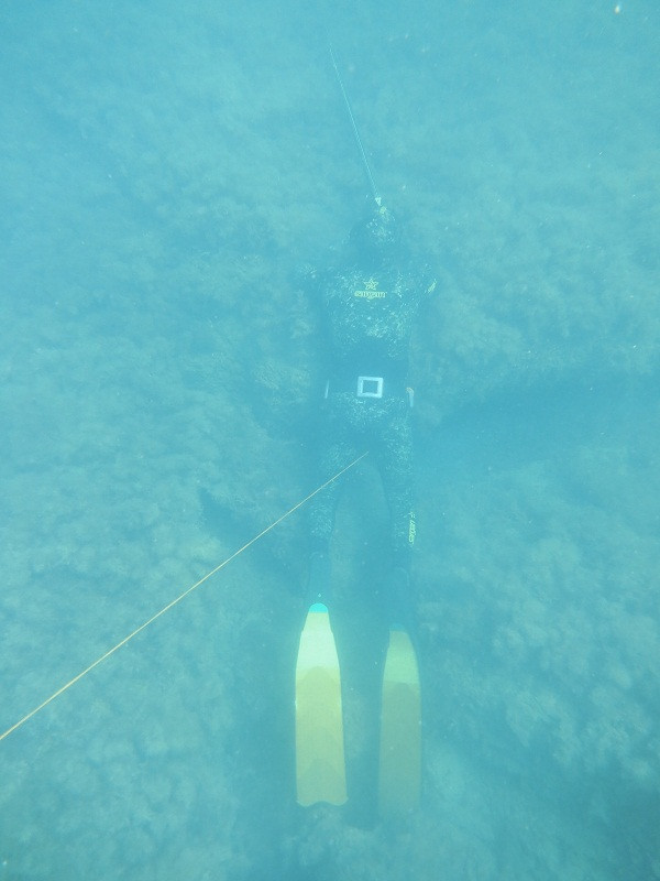 d3ba97381057e899583f32fdbd3c09b6.jpg