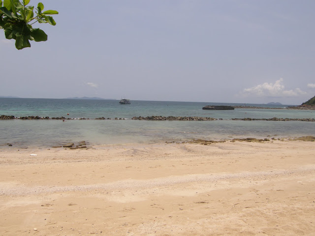 P4160467.JPG