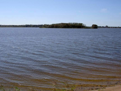 1455570-4e496c67148d1120.jpg
