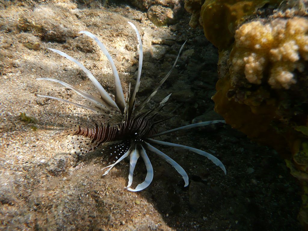 s-1253.JPG