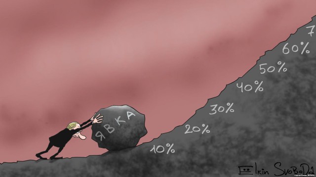 10898726.jpg