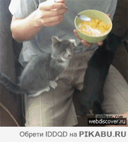 036261.gif