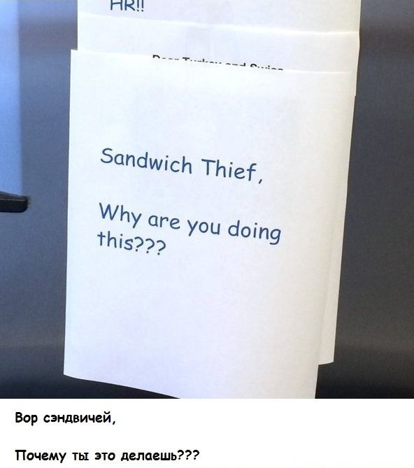 6074590.jpg