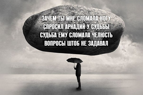 5485774.jpg