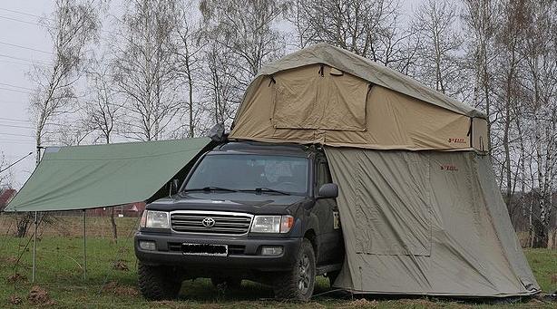 M2368.jpg