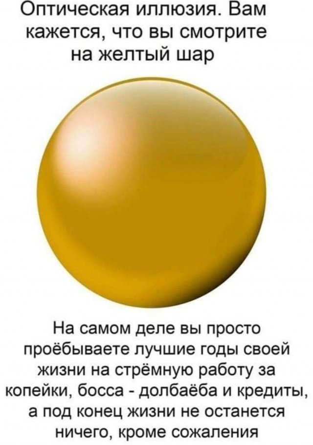 15376962.jpg