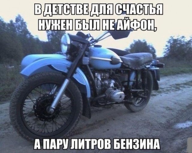 6598047.jpg
