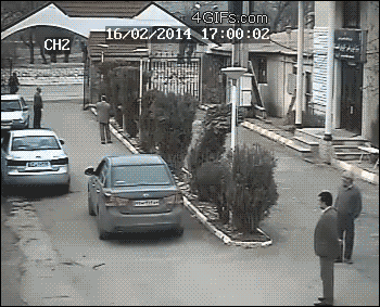 162530_original.gif