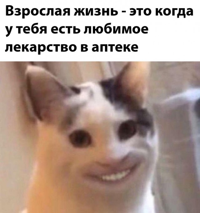 16450383.jpg
