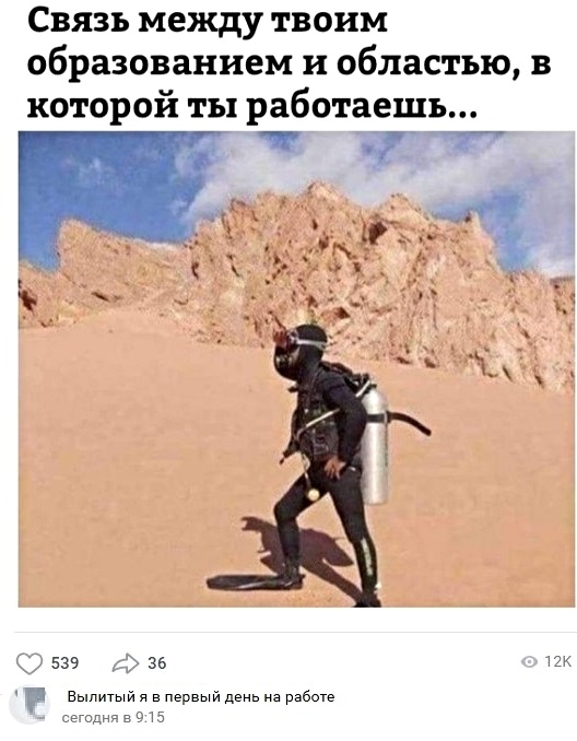 12902847.jpg