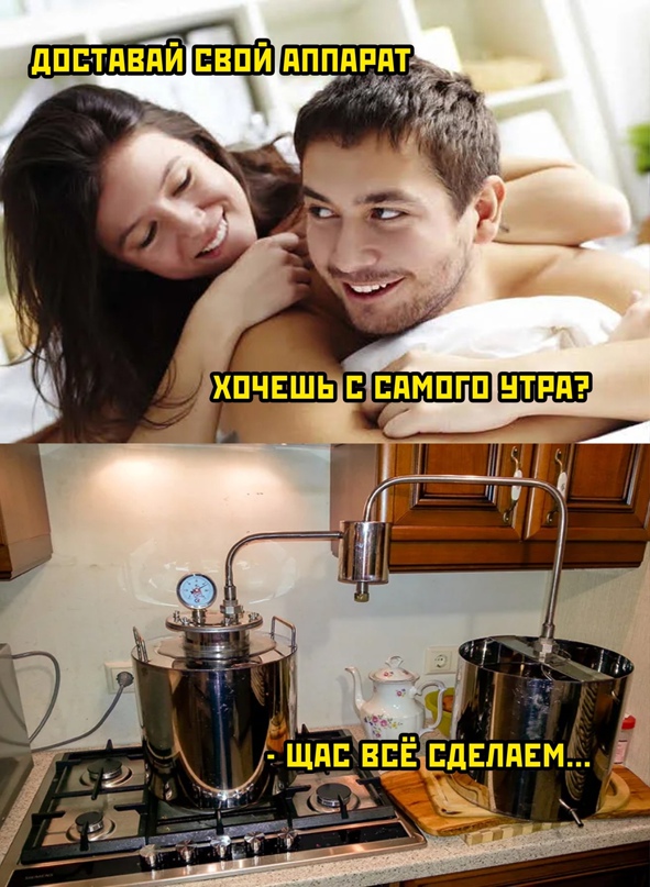15321639.jpg