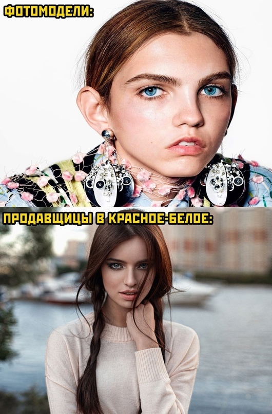 15873198.jpg