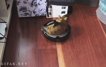 tumblr_mtgsuc9W7y1s2yegdo1_400.gif