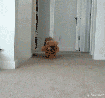 tumblr_nepiyiIsDf1s2yegdo1_400.gif