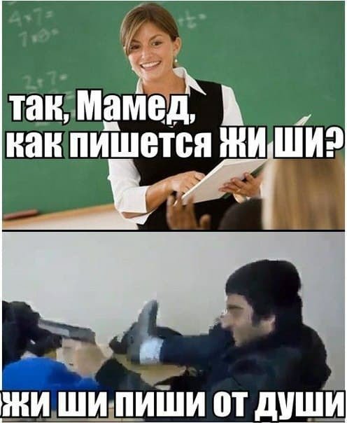 12355767.jpg