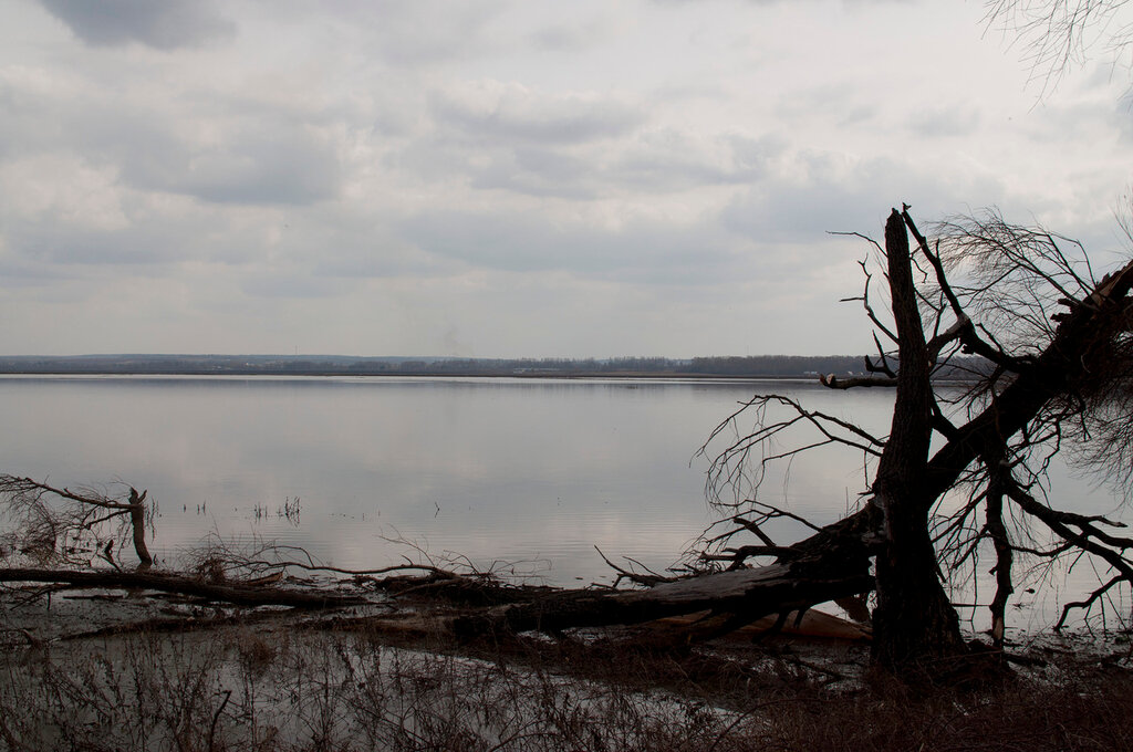 0_6f868_8326f62a_XXL