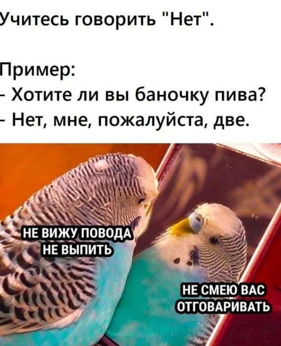 20525594.jpg