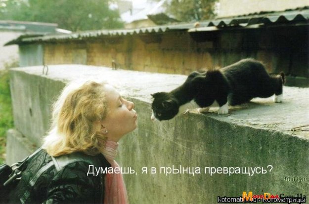 129940_215109.jpg