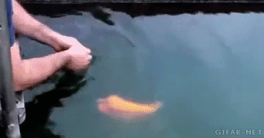 tumblr_na940f8WiO1s2yegdo1_400.gif