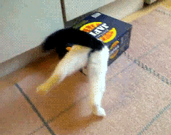 1358468962_2125575273.gif