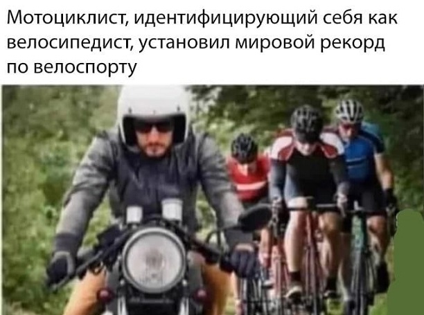 15764546.jpg
