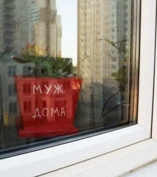 16458705.jpg