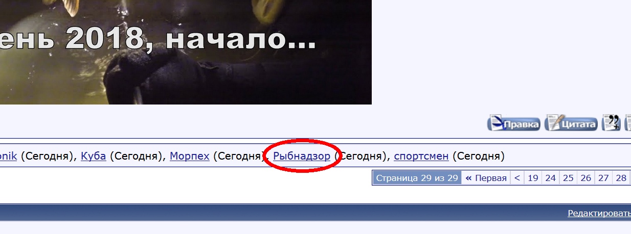 UAxdfzsfXg0.jpg