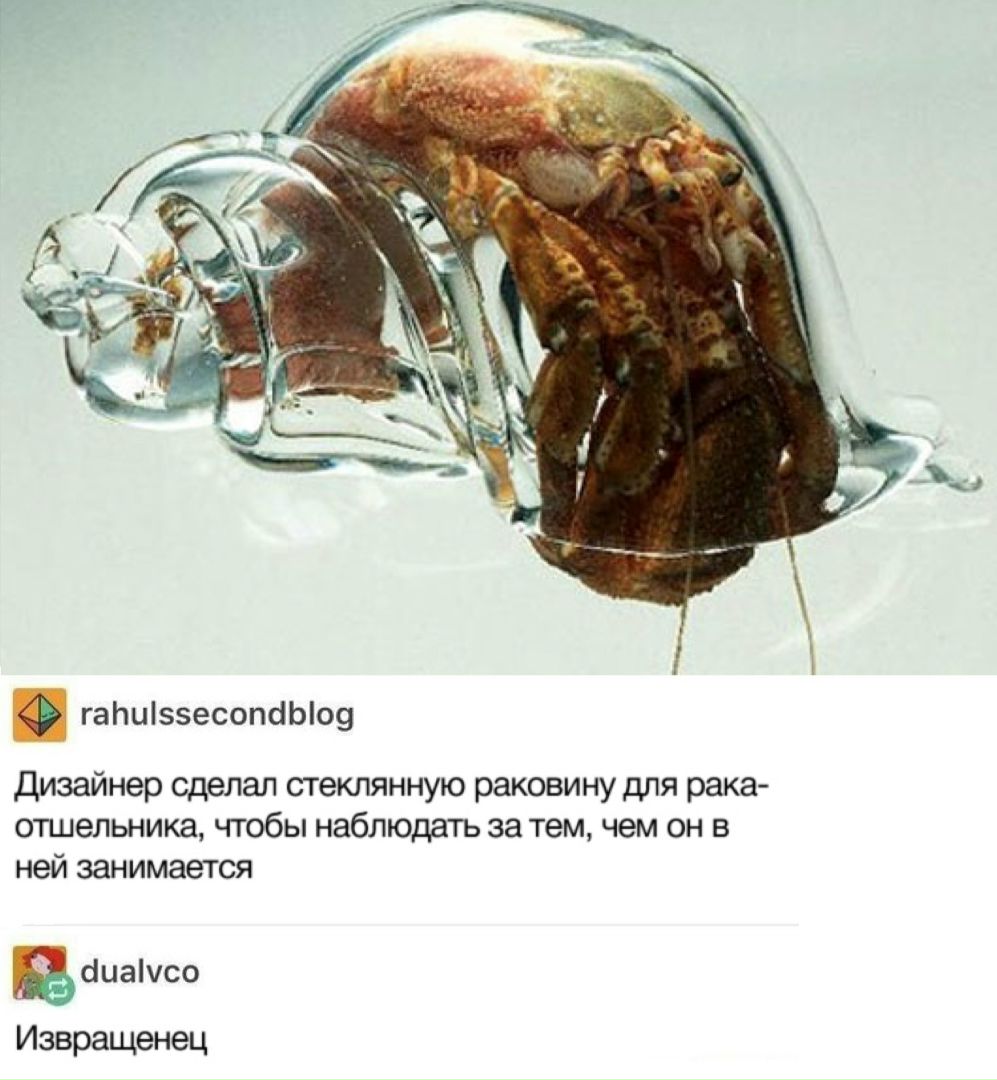 _lKm1Rn3SwY.jpg