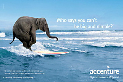 alg_accenture_elephant.jpg