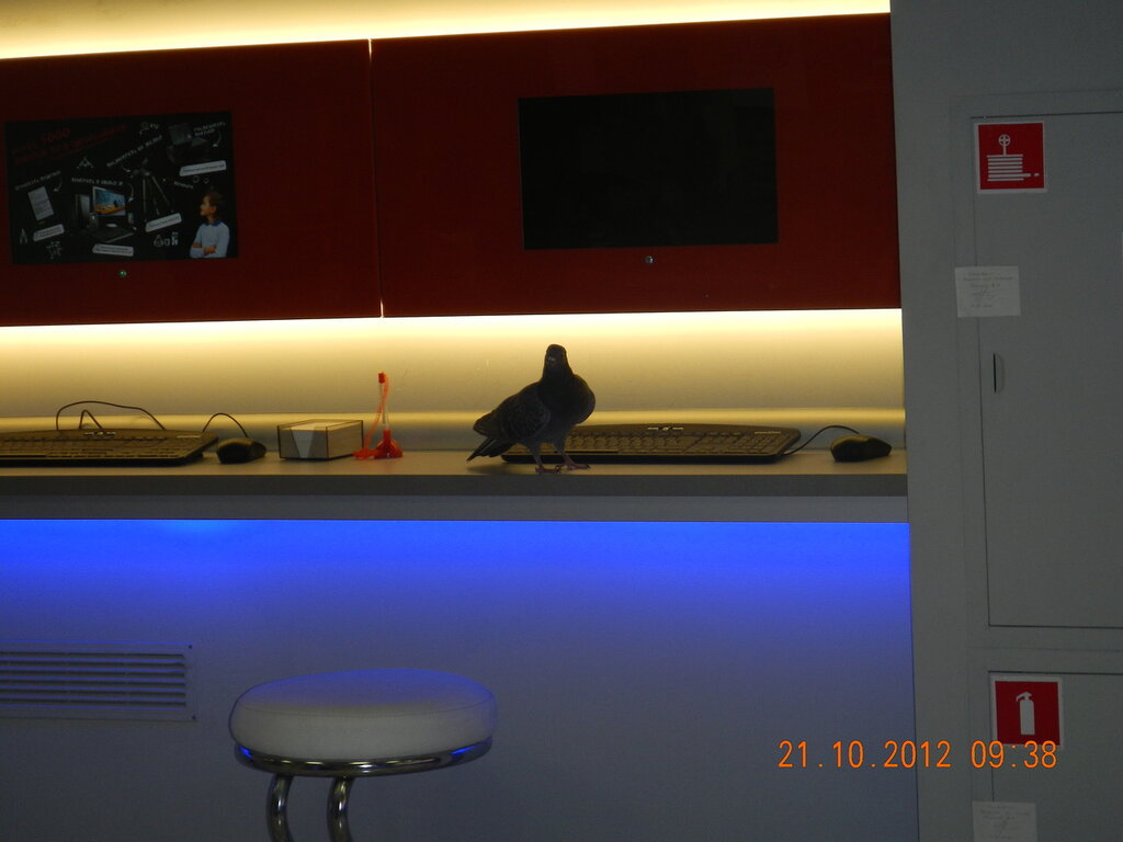 0_9ece9_7f148845_XXL.jpg