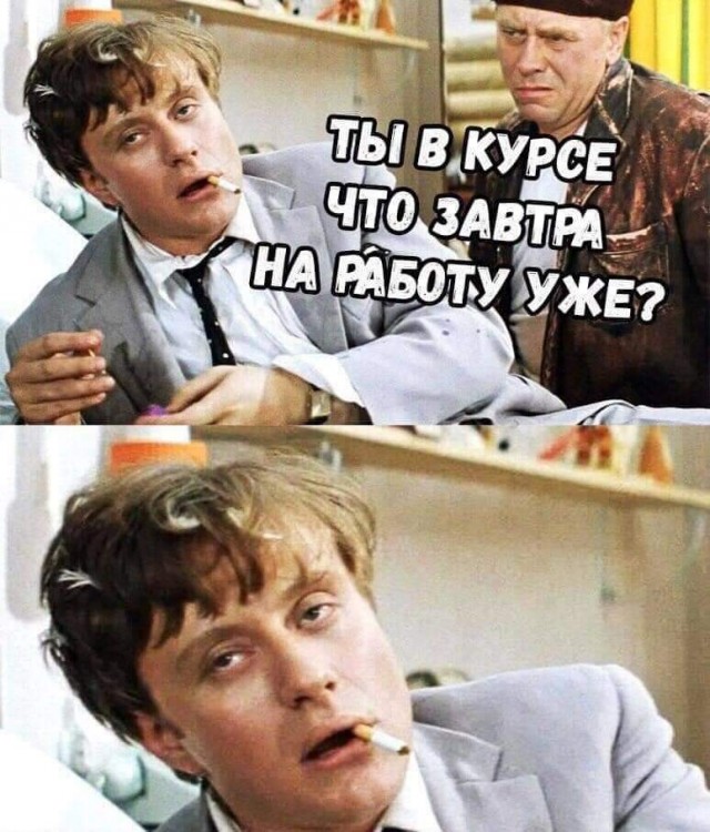 15706816.jpg