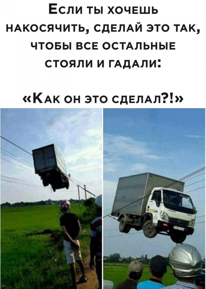 14592092.jpg