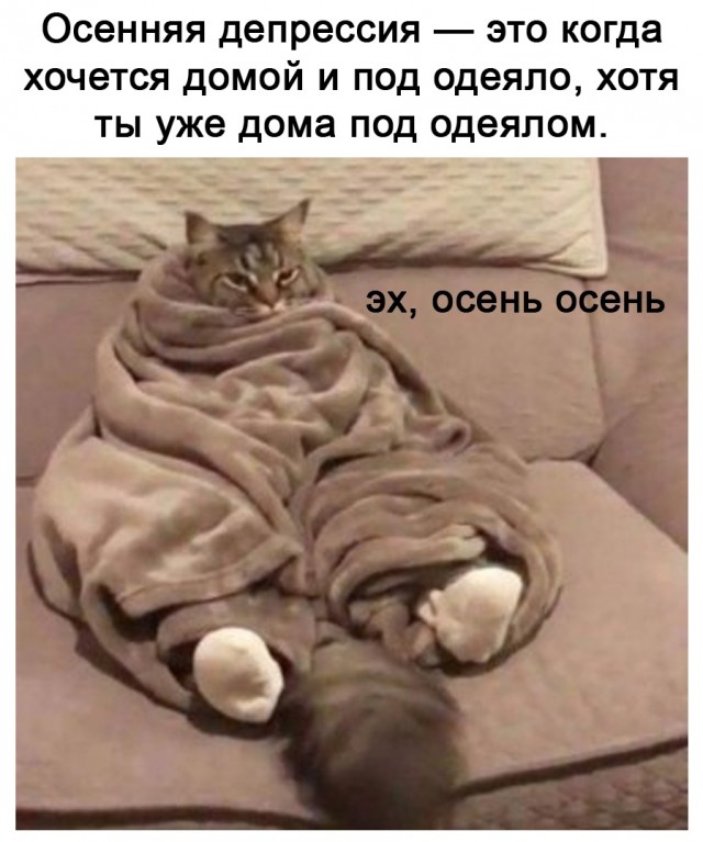 15911825.jpg