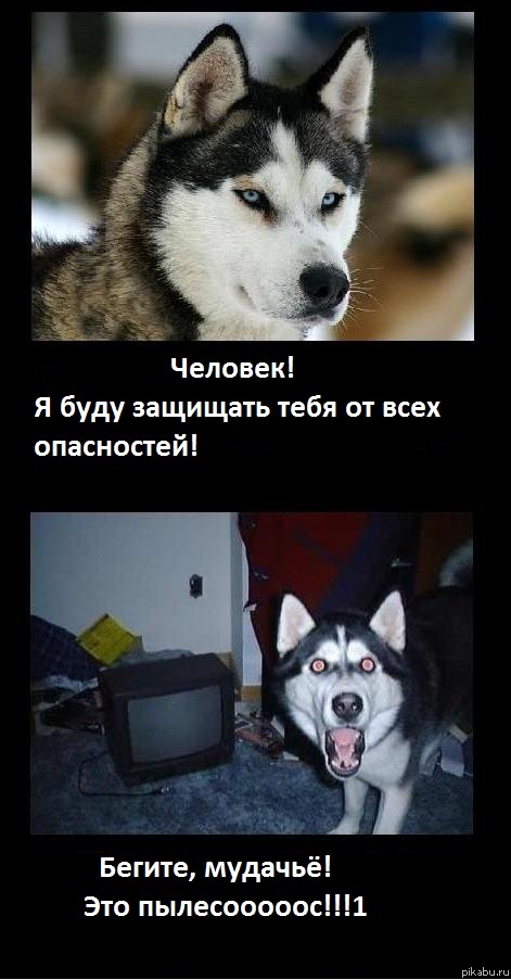 f0z.jpg