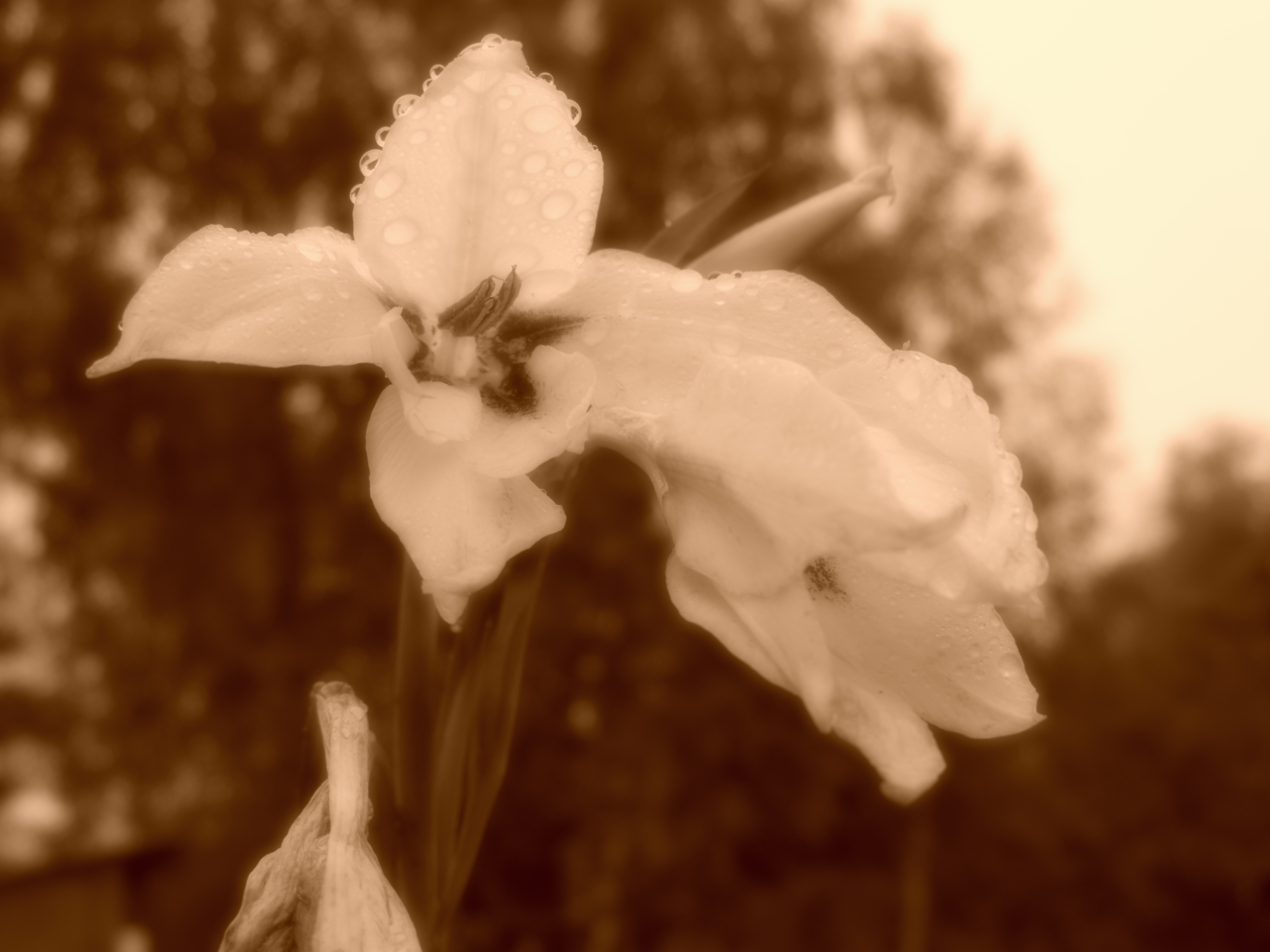 0_bb63a_d9dc9305_orig