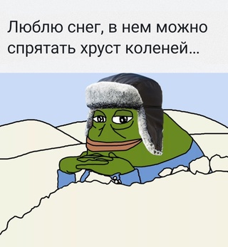 16450958.jpg