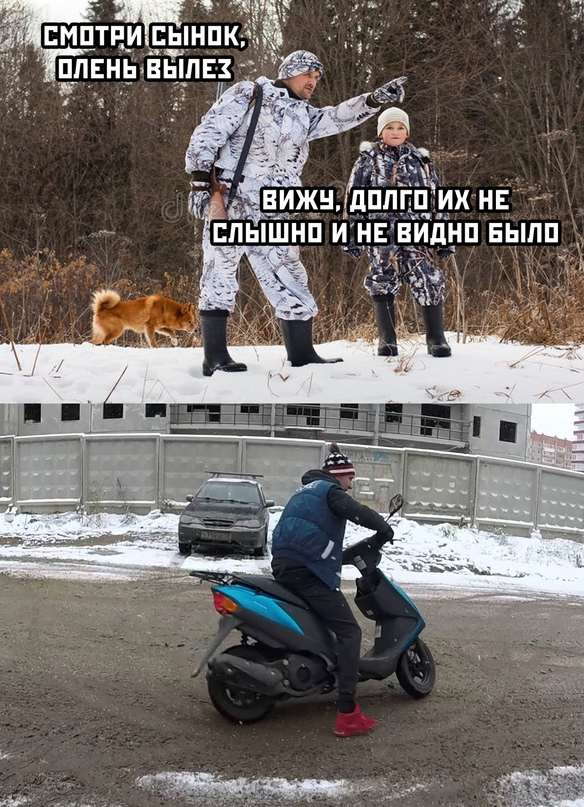 15327962.jpg