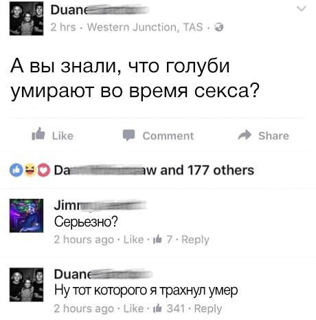 1edLYb4bMZ0.jpg