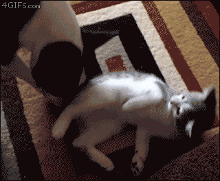 post-3-13390560399783.gif