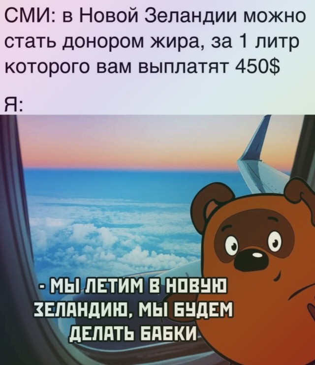 15280221.jpg