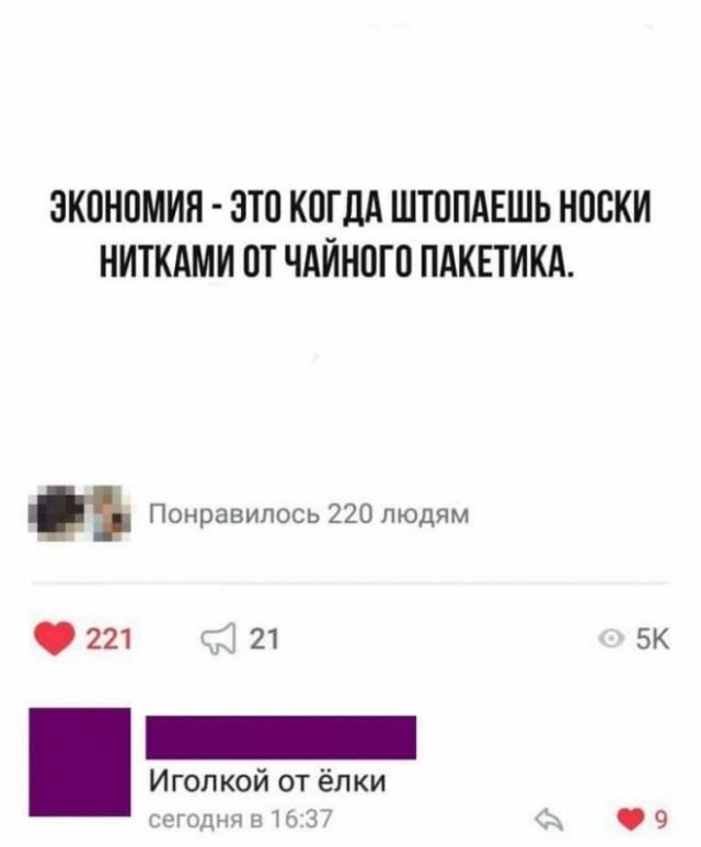 17569403.jpg