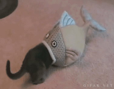 tumblr_mwg2c9l9Z61s2yegdo1_400.gif